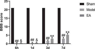 Jia-Ji Electro-Acupuncture Improves Locomotor Function With Spinal Cord Injury by Regulation of Autophagy Flux and Inhibition of Necroptosis